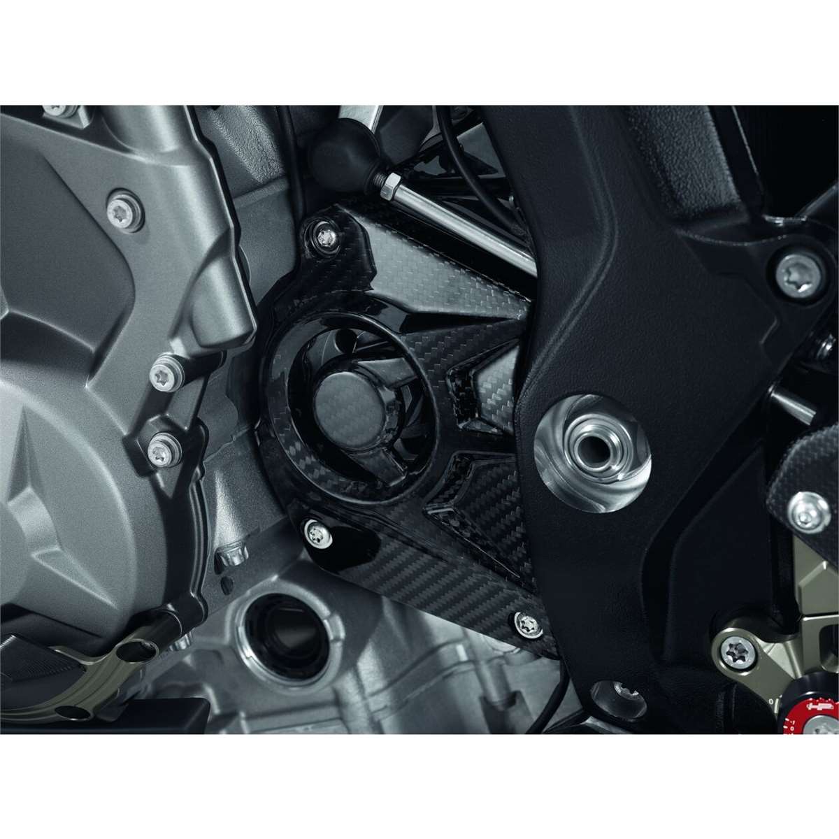 Bild von HP Carbon Ritzelabdeckung