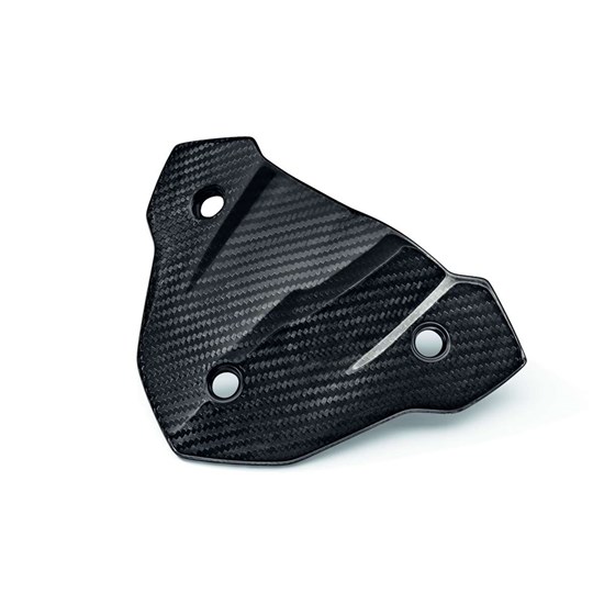 Bild von HP Carbon Windschild