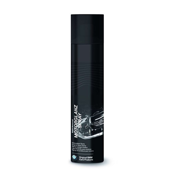 Bild von Motorglanz Spray, 300 ml