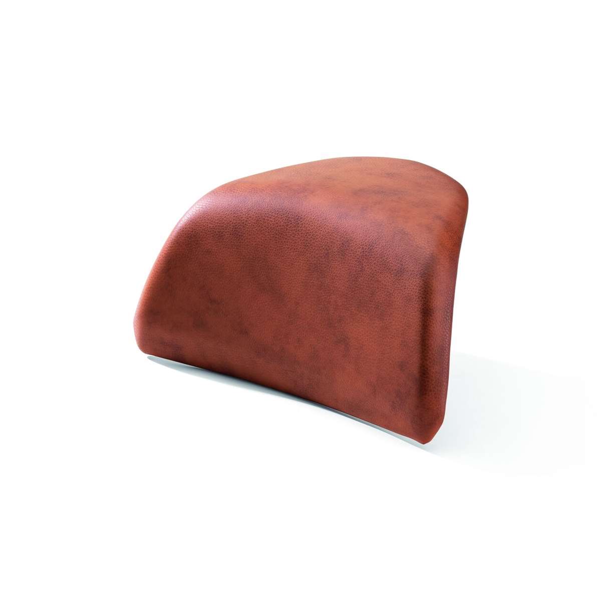 Bild von Rückenpolster für Tourentopcase braun