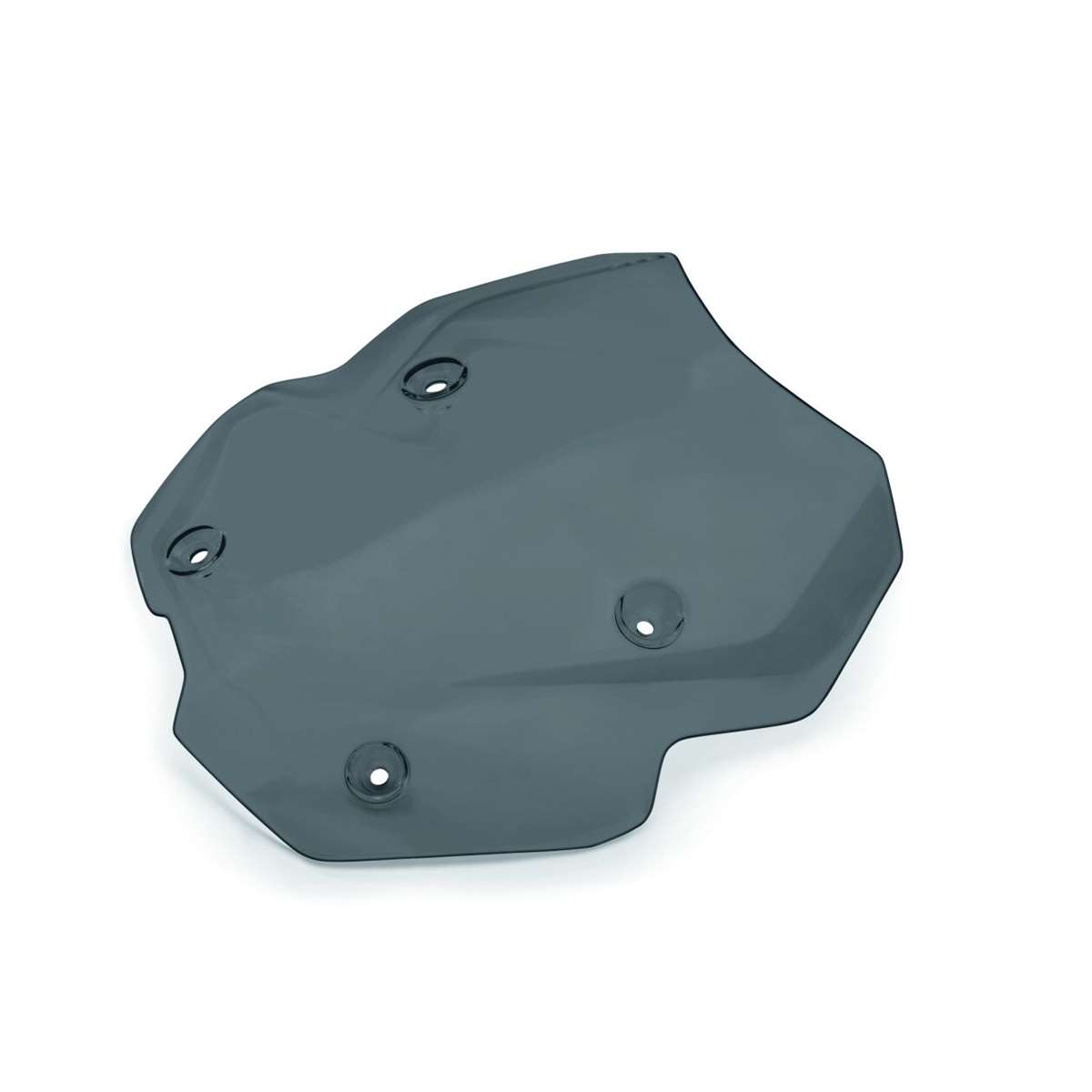 Bild von Tourenwindschild, getönt