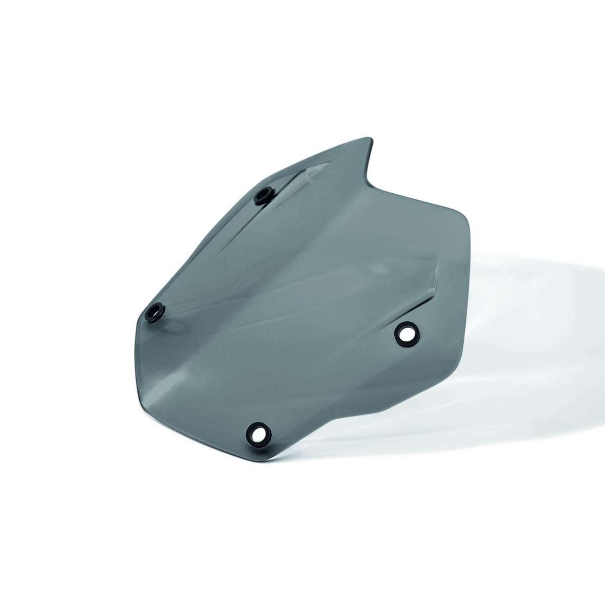 Bild von Windschild Rallye getönt