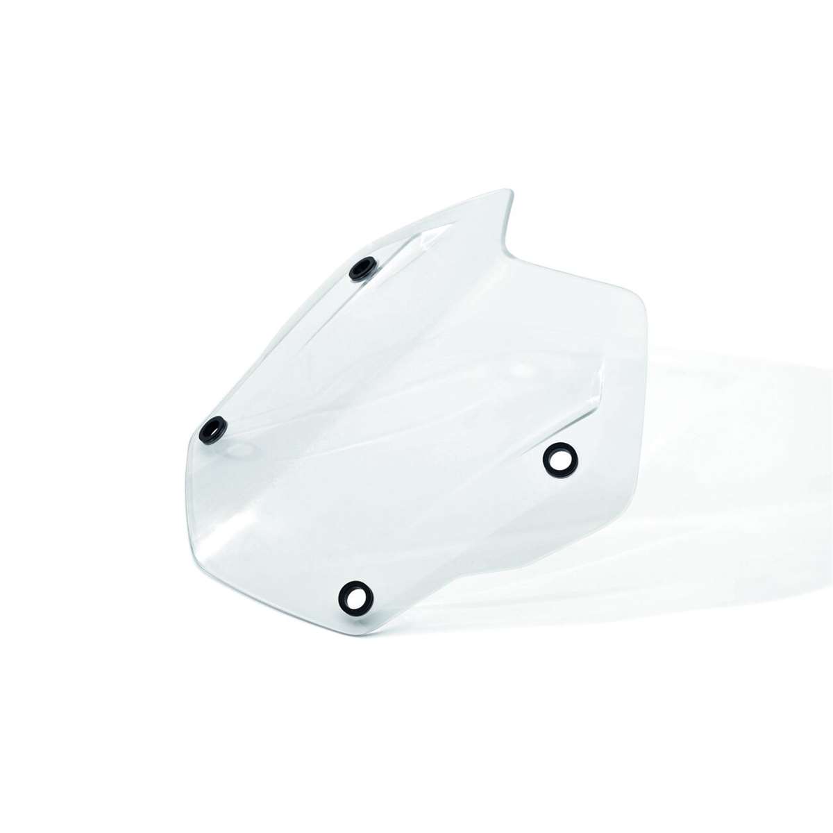 Bild von Windschild Rallye