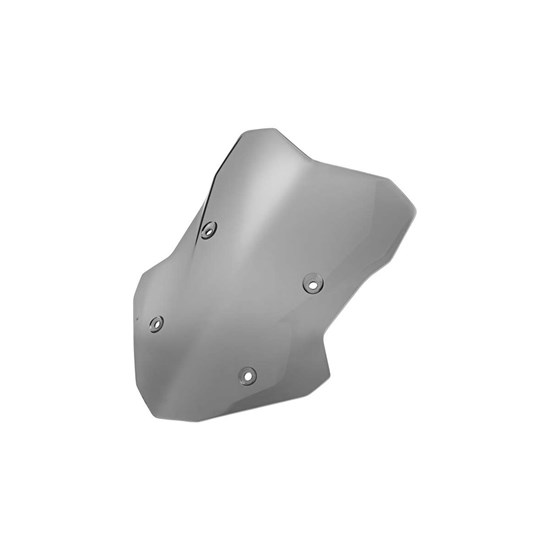 Bild von Windschild getönt