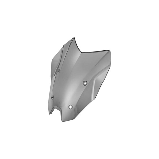 Bild von Windschild getönt