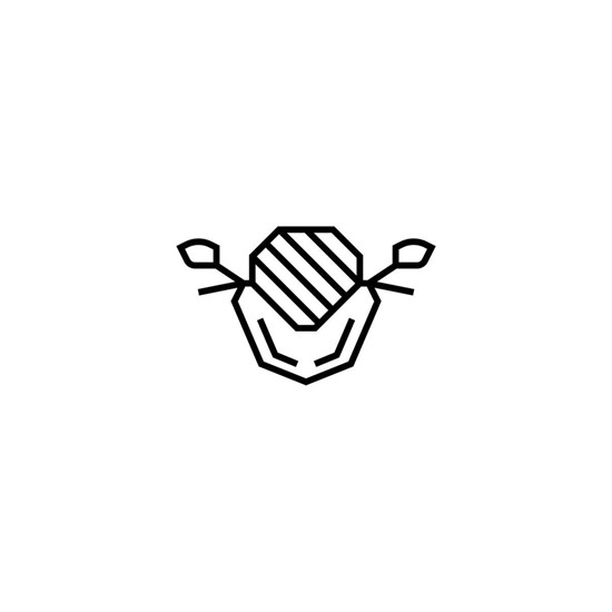 Bild von Windschild Sport schwarz